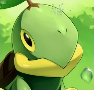 Which Pokemon is it?