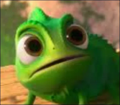 This is Pascal the cameleon, which princess does it belong to?