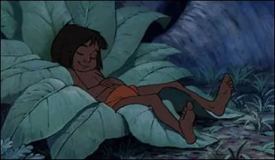 What's the name of the boy in "The Jungle Book"?