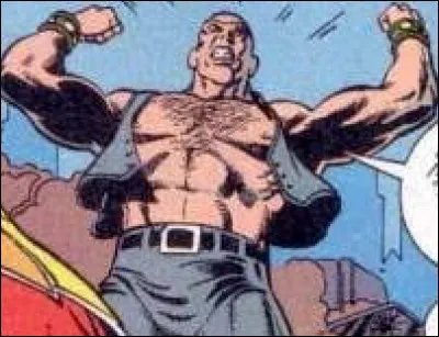 What is the name of this character ?