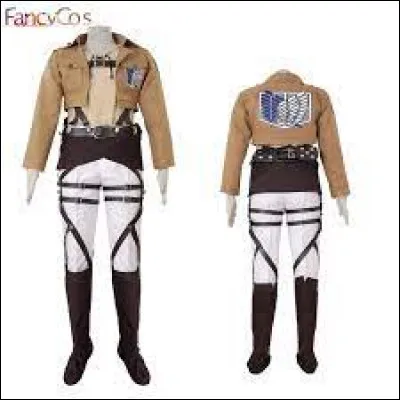 Which anime does this outfit come from?