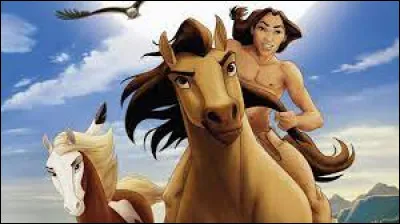 In what year was the animated film Spirit, the Stallion of the Plains released?