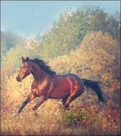 Who performed the song Le petit cheval in 1952?