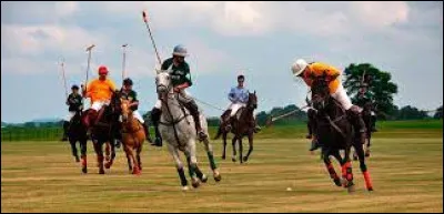 What is the name of the sport that brings together two teams of four players on horseback who compete to score the most goals?