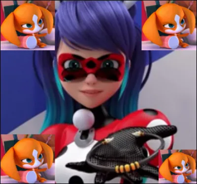 In the final episode of season 4, our heroine entrusts the dog's Miraculous to find the object where the Akuma is lodged. Who does she give it to?