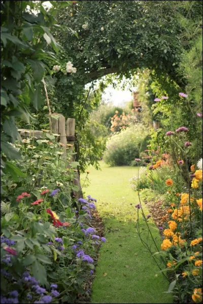 Where is episteme learned according to him?