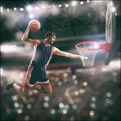 What is the name of the action that consists of sending the ball into the basket by knocking it down from above?