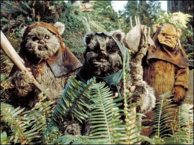 The ewoks think C-3PO is a god.