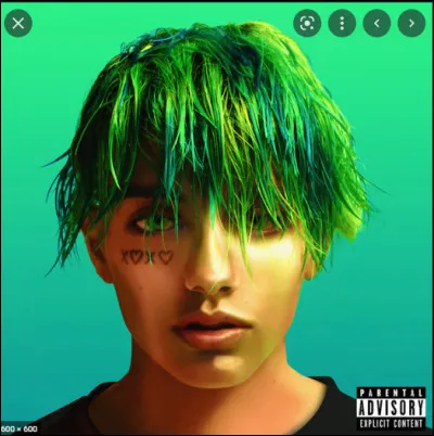 What are the songs INTERNET FRIENDS and EX BEST FRIEND about?