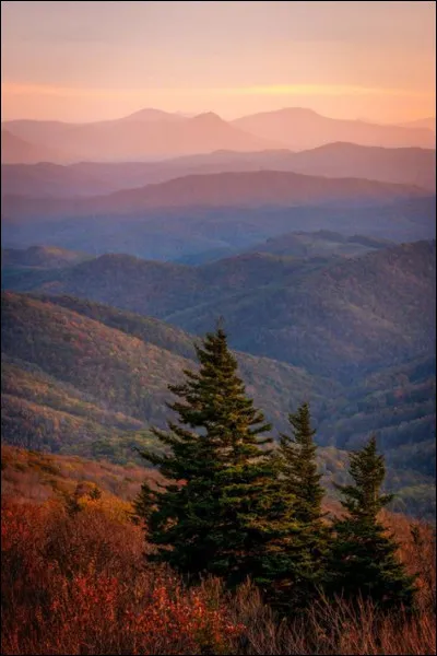 What liquid is Eleven immersed in to relive her memories?