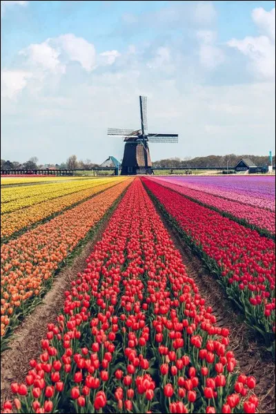 Who is Dustin dating?