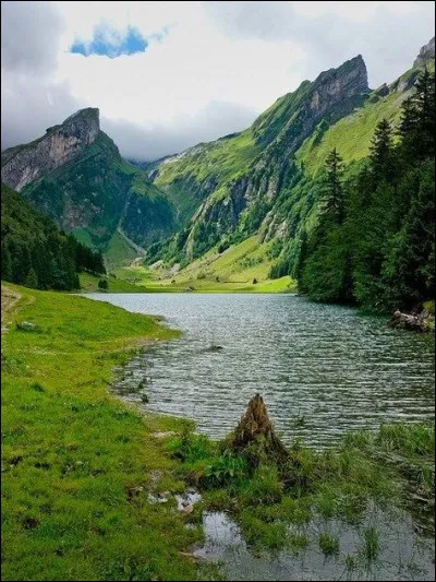 Which member of her family confiscated her computer?