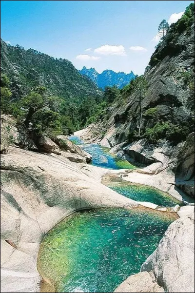 What has Eleven lost?