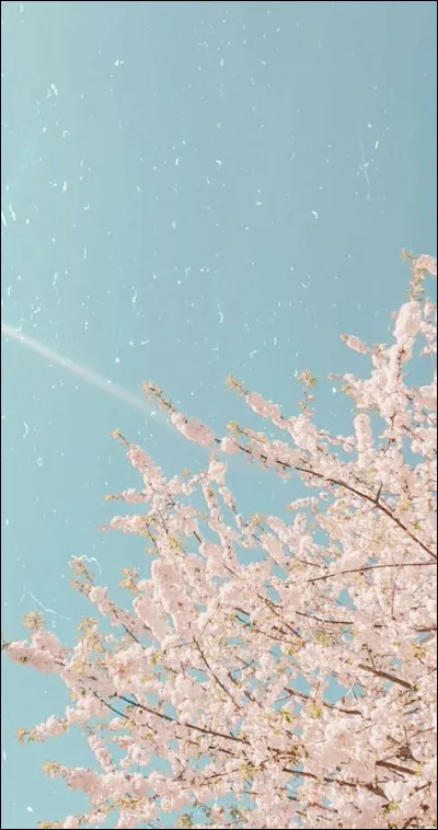 In what year were the Twin Towers bombed?