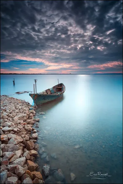 What is their area code?