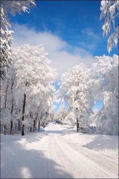 What is the French title of their anthem?