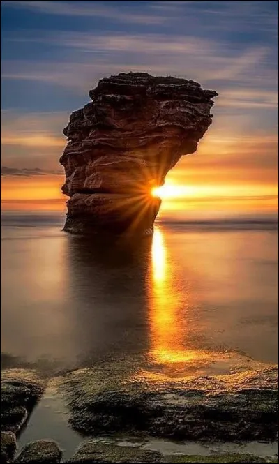 Who will preside over the United States in 2022?