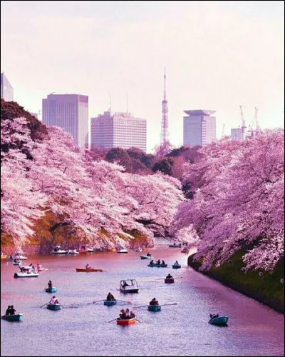 What is the country's capital?