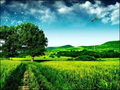 One to the power of any number is: