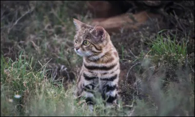 And the smallest is: