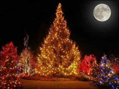 Which scientist was born on December 25, 1642?