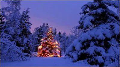 In Somalia in 2022, it is forbidden to celebrate Christmas