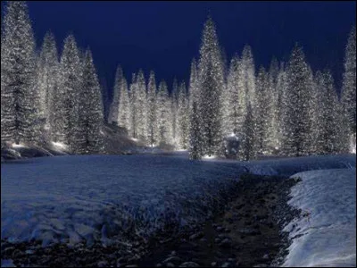 In the Julian calendar, Christmas is celebrated in February