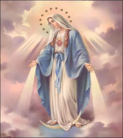 What do we call the period before Christmas?