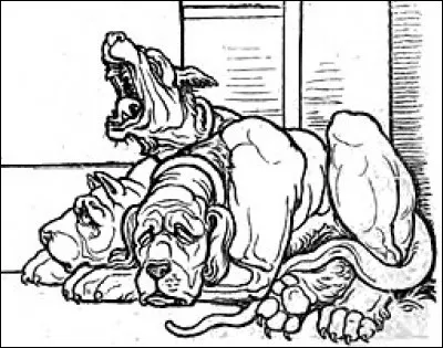 What are Hermione's parents' professions?