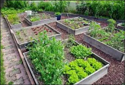 In Philippe's vegetable garden, there are 5 rows of 30 tomatoes and 3 rows of 22 melons. How many tomatoes are there?