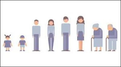 Mia is 36, her sister is 24 and their brother is twice the age of Mia's sister. How old is the brother?