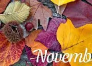 Quiz On les fête en novembre
