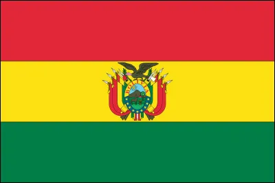 Where does this flag come from?