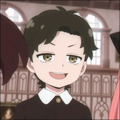 What's the name of the boy Anya hit?