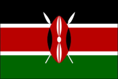 Which country does this flag belong to?