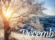 Quiz On les fête en décembre