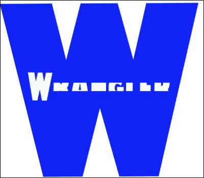 Which brand is identified by this logo?