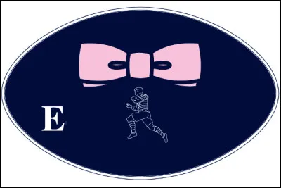 Which brand is identified by this logo?