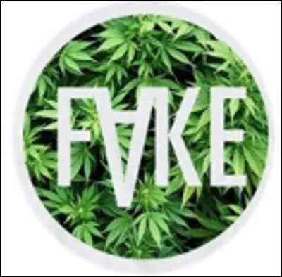 Which brand is identified by this logo?