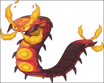 In "Pokemon", what type is Scolocendre ?