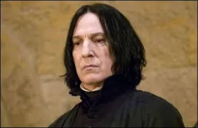 Who is this character in the Harry Potter saga?