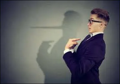 Who sang "J'te mentirais" ?