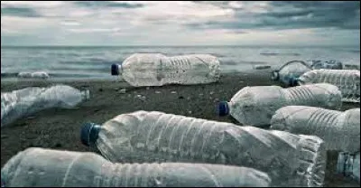 What is the estimated decomposition time in nature of plastic bottles?
