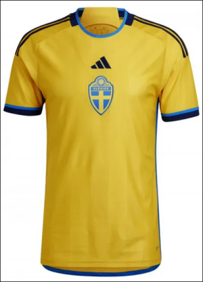 Always in Europe! Which selection does this jersey belong to?