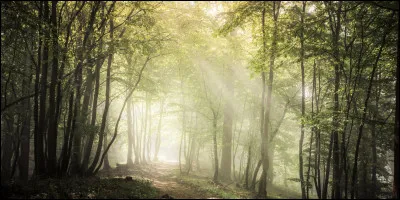 What do we decorate at Christmas?