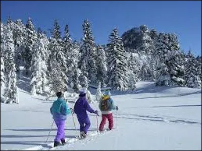 What else can you do ?