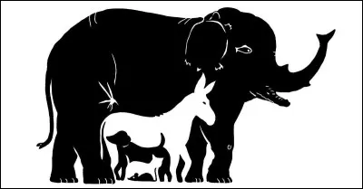 How many animals are there?