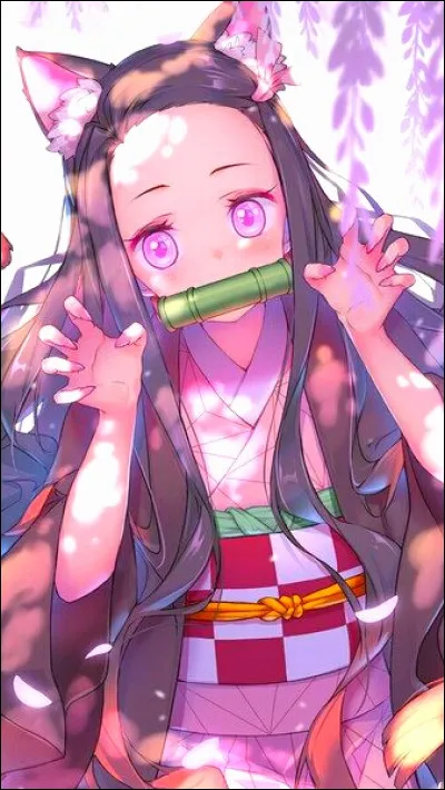 Who is Nezuko Kamado ?