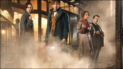 Most wizards who believe themselves superior to others call Nes-Moldus wizards "Bourbe-Sang".