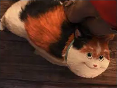 What is the name of this cat seen in the movie "The New Heroes" ?